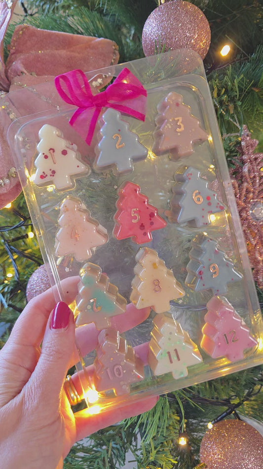 12 Days Of Christmas Advent Calendar